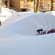 Illustration for article titled Chiberia Rising, in Pictures: Man, Last Nights Blizzard Sure Did Suck
